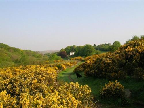 Lydgate House 4*